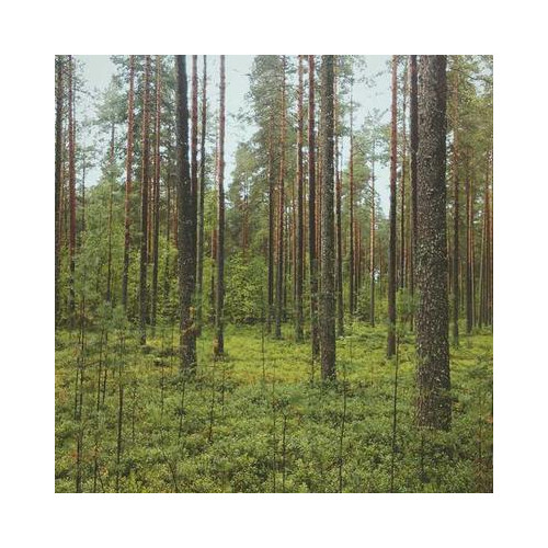 PromoSync TEST — Kubek reklamowy 300ml