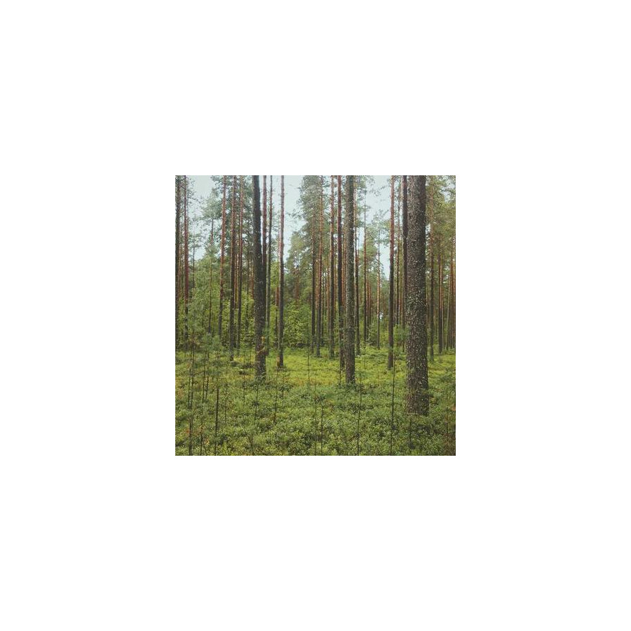 PromoSync TEST — Kubek reklamowy 300ml
