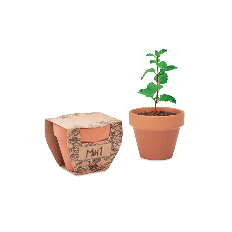 MINT POT